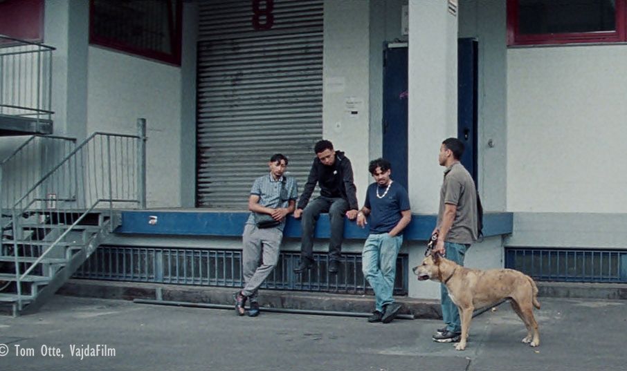 THE LIGHTS, THEY FALL