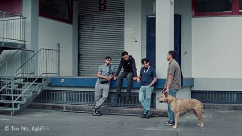 THE LIGHTS, THEY FALL