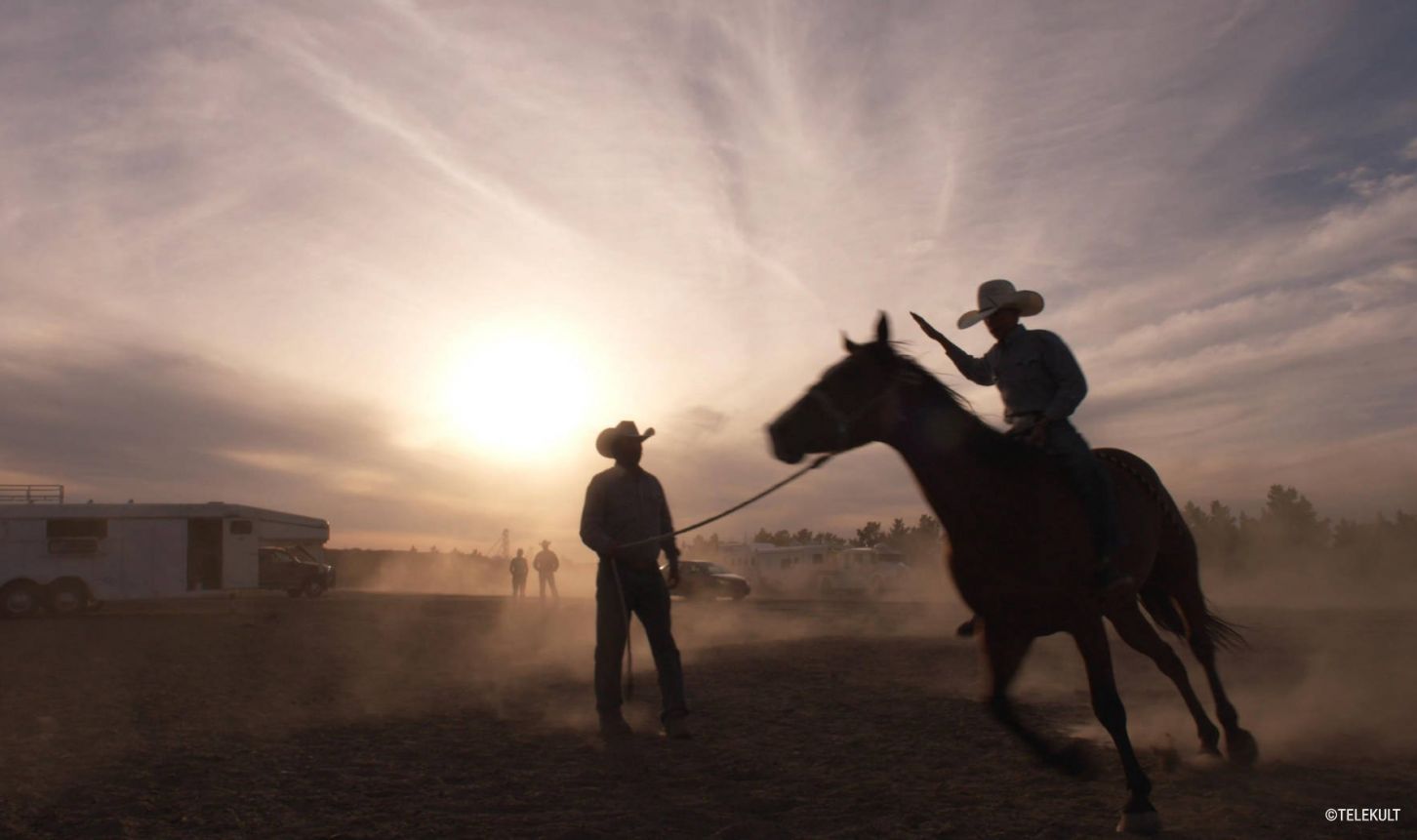 THE COWBOY